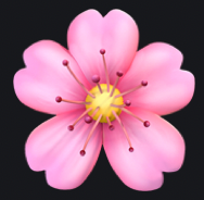 @NoobCoder12's profile pic